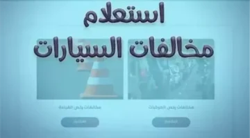 تفاصيل جديدة.. الاستعلام عن مخالفات يناير 2026 والدفع أونلاين